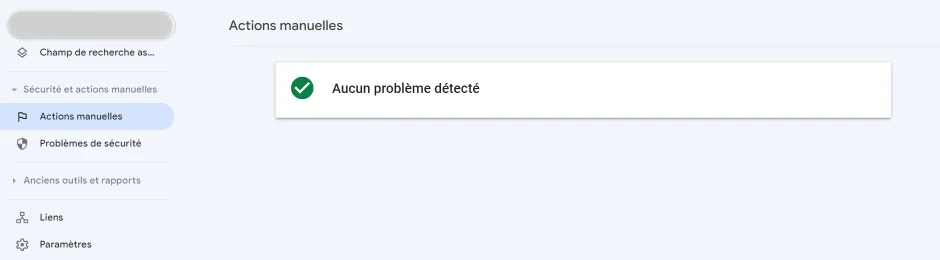 interface Google seacrh console Actions manuelles