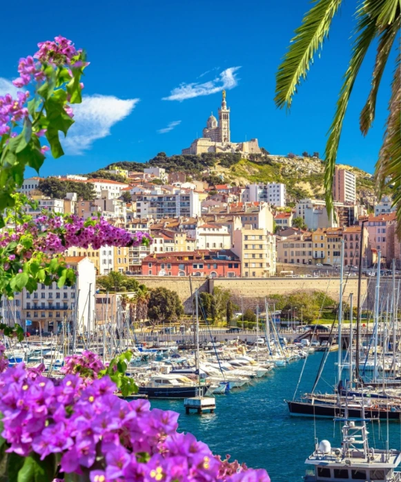 Vue éclatante sur le Vieux-Port de Marseille et ses bateaux, avec la basilique Notre-Dame de la Garde sur la colline, encadrée par des bougainvilliers violets.