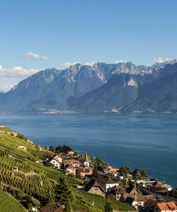 Vue verticale des vignobles en terrasses de Lavaux, classés à l'UNESCO, surplombant le lac Léman et les Alpes.