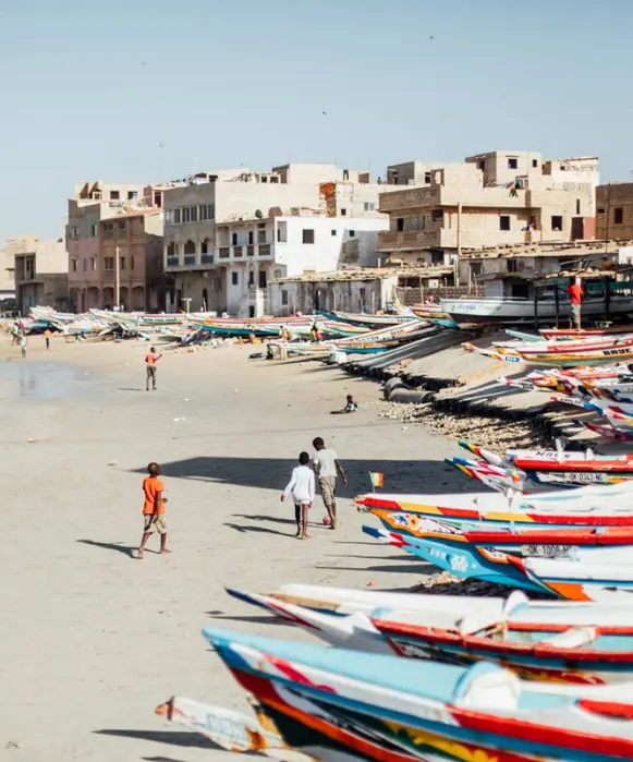 Un paysage côtier serein de Dakar présentant une végétation luxuriante, des rivages rocheux et la silhouette de la ville au loin, encadré par les branches d'un arbre au premier plan.