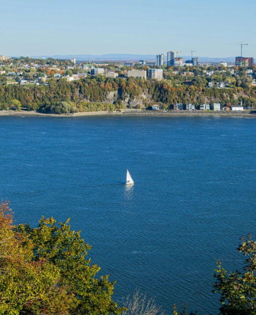 Une scène paisible d'un voilier blanc solitaire sur les vastes eaux bleues du fleuve Saint-Laurent, avec le rivage au loin.
