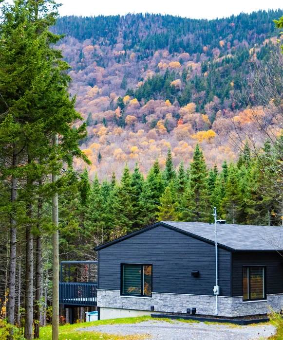 Un chalet moderne en bois sombre et pierre niché au pied d'une montagne couverte de feuillages d'automne colorés et de conifères.