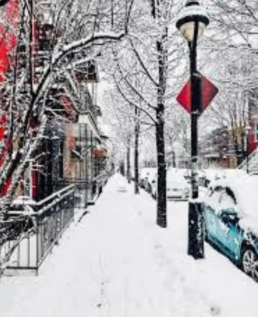 Une scène d'hiver typique dans une rue résidentielle de Montréal, avec un trottoir enneigé, des arbres dénudés et des voitures ensevelies sous une épaisse couche de poudreuse.