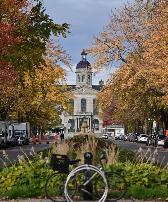 ue de l'hôtel de ville historique de Kingston au bout d'une rue bordée d'arbres aux couleurs d'automne, avec un vélo au premier plan.